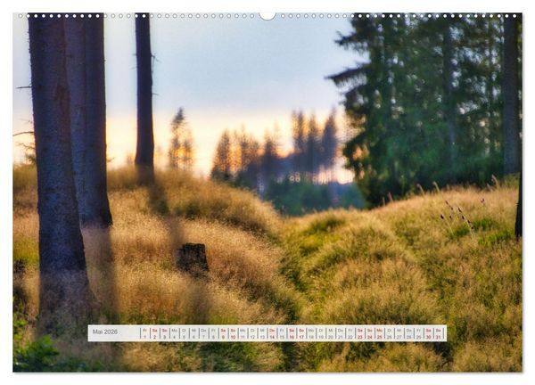 Produktbild: Traumhafte Waldstimmung am Rennsteig im Th&uuml;ringer Wald (hochwertiger Premium Wandkalender 2026 DIN A2 quer), Kunstdruck in Hochglanz