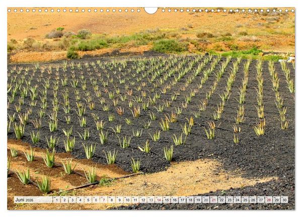 Produktbild: Fuerteventura &ndash; Von Str&auml;nden und Bergen (Wandkalender 2026 DIN A3 quer), CALVENDO Monatskalender
