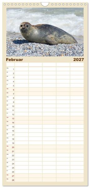 Produktbild: Familienplaner 2027 - Das Leben der Robben mit 5 Spalten (Wandkalender, 21 x 45 cm) CALVENDO