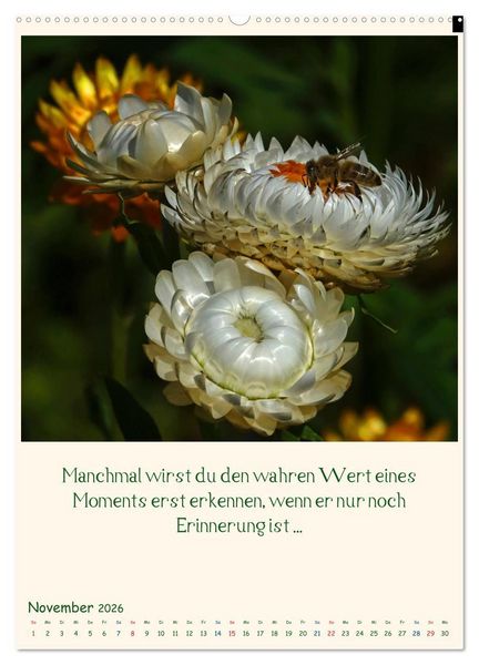 Produktbild: Mit Blumen durchs Jahr (hochwertiger Premium Wandkalender 2026 DIN A2 hoch), Kunstdruck in Hochglanz