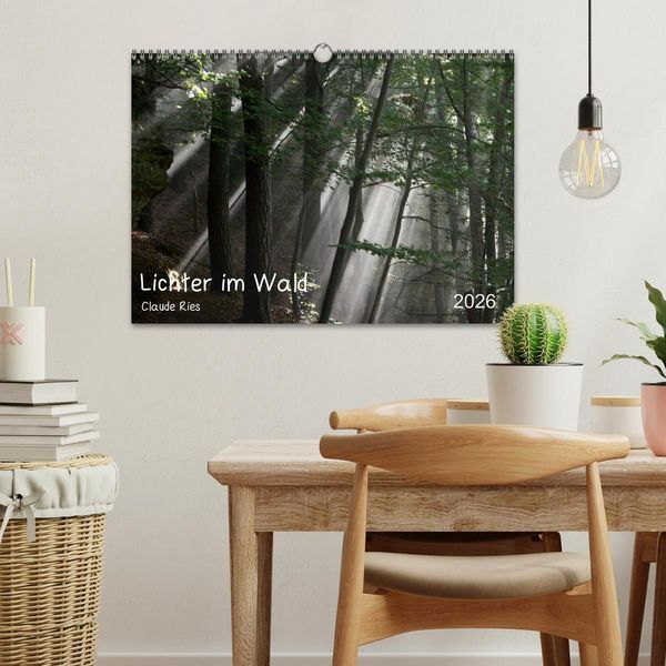 Produktbild: Lichter im Wald (Wandkalender 2026 DIN A3 quer), CALVENDO Monatskalender