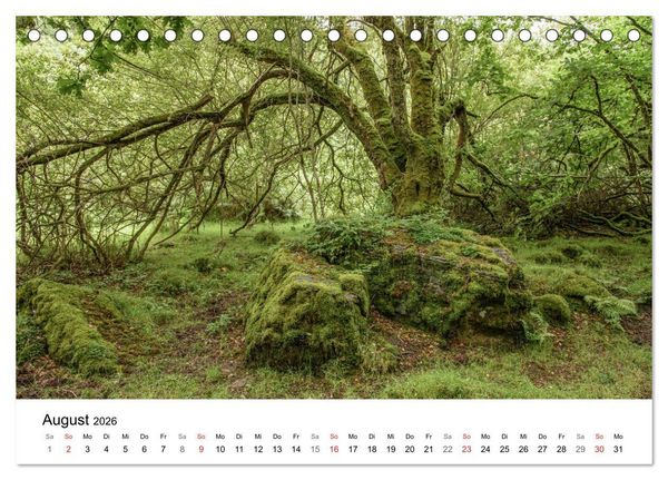 Produktbild: Foto-Momente S&uuml;d-England - Magische Orte (Tischkalender 2026 DIN A5 quer), CALVENDO Monatskalender
