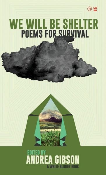 Produktbild: We Will Be Shelter