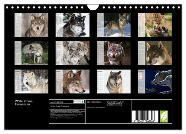 Produktbild: W&ouml;lfe. Graue Eminenzen (Wandkalender 2026 DIN A4 quer), CALVENDO Monatskalender