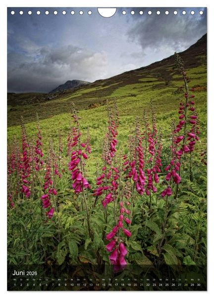 Produktbild: Traumhaftes Schottland (Wandkalender 2026 DIN A4 hoch), CALVENDO Monatskalender