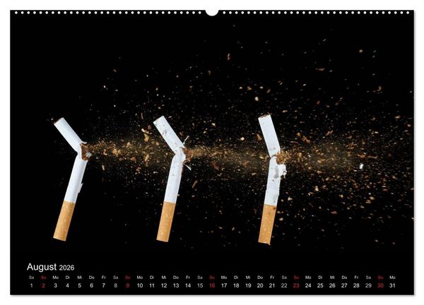 Produktbild: Ballistik Highspeed Fotos (hochwertiger Premium Wandkalender 2026 DIN A2 quer), Kunstdruck in Hochglanz