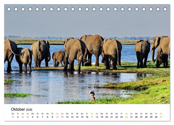 Produktbild: Elefanten Impressionen (Tischkalender 2026 DIN A5 quer), CALVENDO Monatskalender