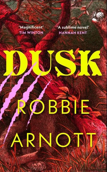 Dusk, Gebundene Ausgabe von Robbie Arnott,Susan Gates, Vermilion, 978-1-78474-598-1