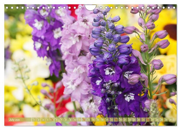Produktbild: A Flower Festival (Wall Calendar 2026 DIN A4 landscape), CALVENDO 12 Month Wall Calendar
