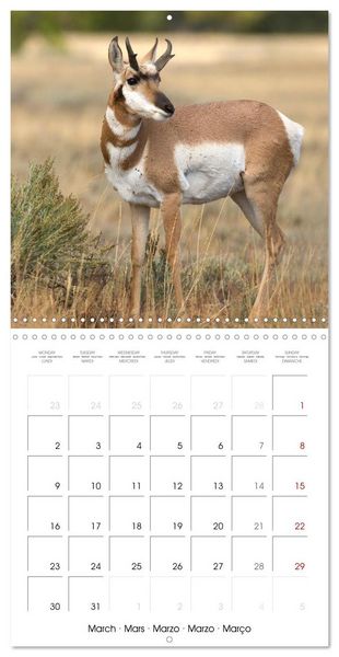 Produktbild: Teton National Park (Wall Calendar 2026 12 &times; 12 Inch) CALVENDO 12 Month Wall Calendar
