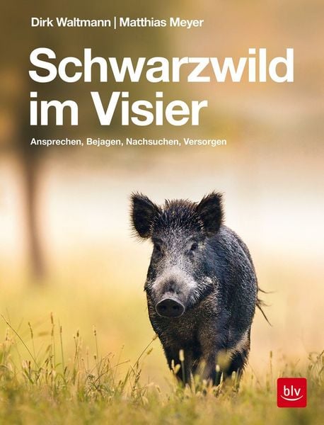 Produktbild: Schwarzwild im Visier