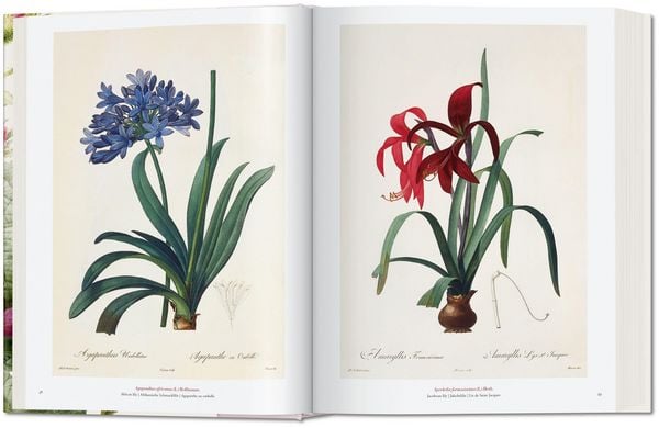 Produktbild: Redout&eacute;. The Book of Flowers