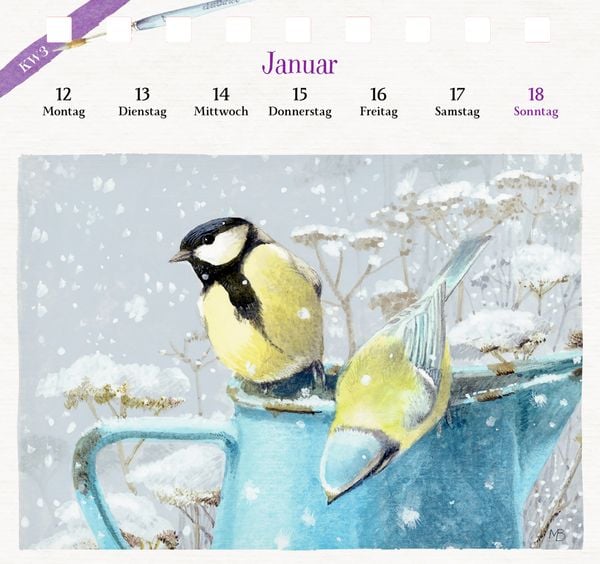 Produktbild: Kalender mit 53 Postkarten