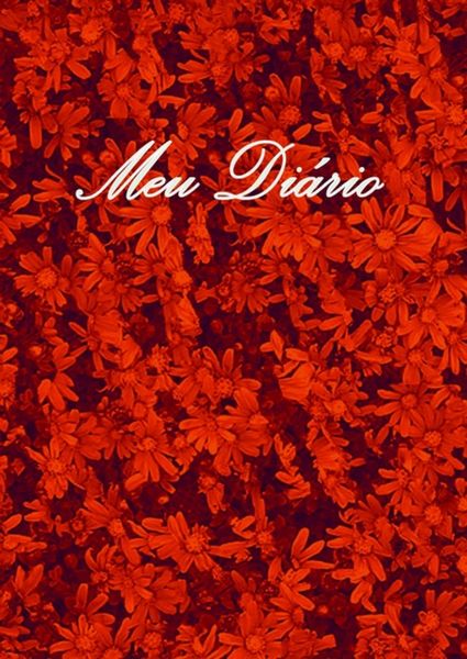 Produktbild: Meu Di&aacute;rio 2