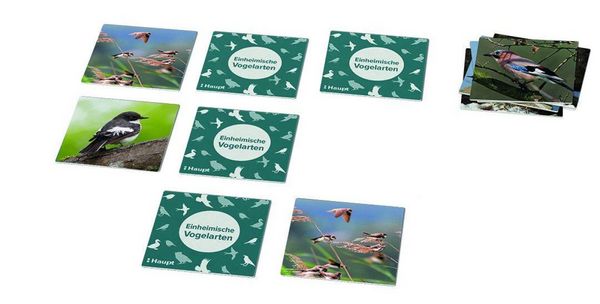 Produktbild: Einheimische Vogelarten &ndash; das Memo-Spiel