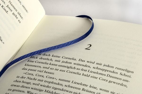 Produktbild: Die Riesinnen
