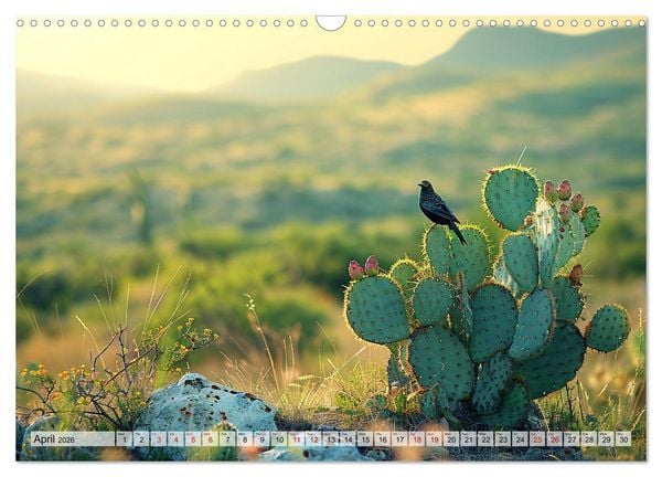 Produktbild: Prickly Cactus Journey (Wall Calendar 2026 DIN A3 landscape), CALVENDO 12 Month Wall Calendar