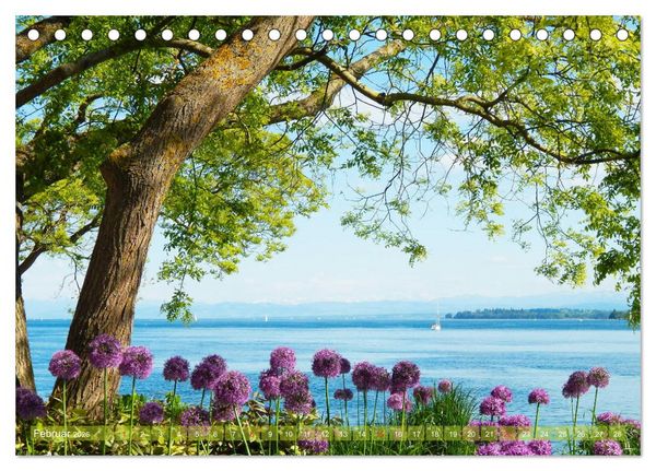 Produktbild: Farbenfroh Bodensee (Tischkalender 2026 DIN A5 quer), CALVENDO Monatskalender