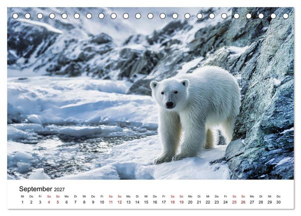 Produktbild: K&ouml;nige des Nordens - Begegnungen mit Eisb&auml;ren (Tischkalender 2027 DIN A5 quer), CALVENDO Monatskalender