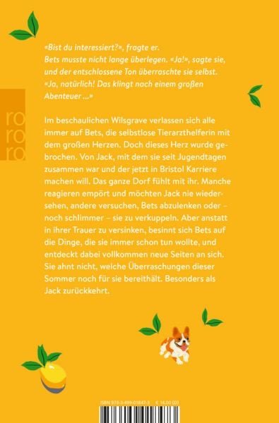 Produktbild: Ein Wiedersehen im Sommer