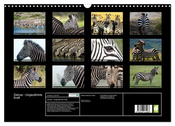 Produktbild: Zebras - Ungez&auml;hmte Kraft (Wandkalender 2026 DIN A3 quer), CALVENDO Monatskalender
