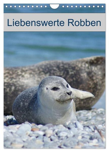 Liebenswerte Robben (Wandkalender 2026 DIN A4 hoch), CALVENDO Monatskalender
