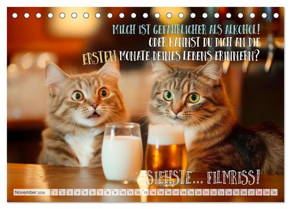 Produktbild: Katzenlogik - Wenn Blicke miauen k&ouml;nnten (Tischkalender 2026 DIN A5 quer), CALVENDO Monatskalender