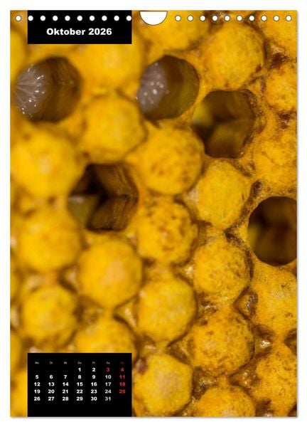 Produktbild: Bienen in ihrem geheimen Reich (Wandkalender 2026 DIN A4 hoch), CALVENDO Monatskalender