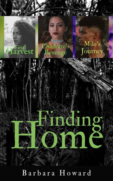 Produktbild: Finding Home Mystery Series