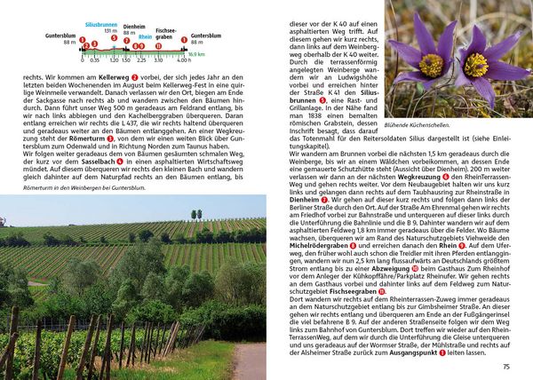 Produktbild: ROTHER Wanderf&uuml;hrer Rheinhessen