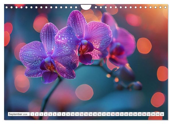 Produktbild: Orchideen - farbenfroh durchs Jahr (Wandkalender 2026 DIN A4 quer), CALVENDO Monatskalender