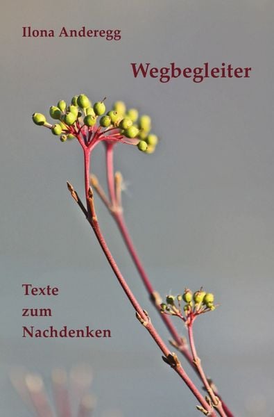 Produktbild: Wegbegleiter
