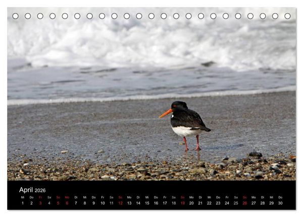 Produktbild: Helgoland (Tischkalender 2026 DIN A5 quer), CALVENDO Monatskalender