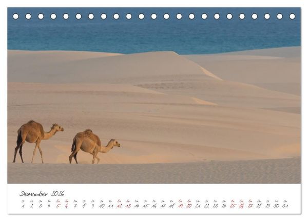 Produktbild: Socotra - Zauberhafte Insel (Tischkalender 2026 DIN A5 quer), CALVENDO Monatskalender
