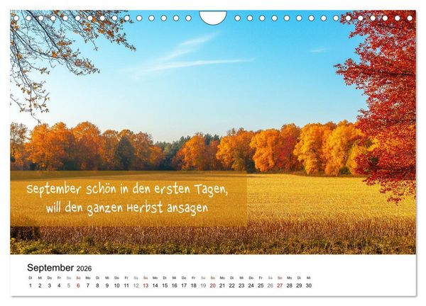Produktbild: Bauernregeln Kalender - Rhythmus der Jahreszeiten (Wandkalender 2026 DIN A4 quer), CALVENDO Monatskalender