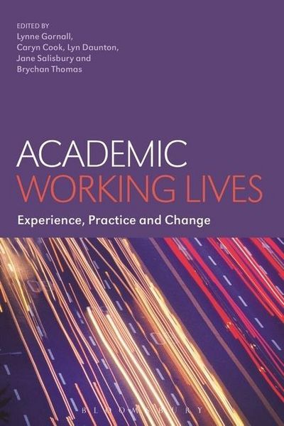 Produktbild: Academic Working Lives