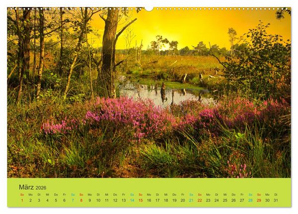 Produktbild: Die Heide bl&uuml;ht (hochwertiger Premium Wandkalender 2026 DIN A2 quer), Kunstdruck in Hochglanz