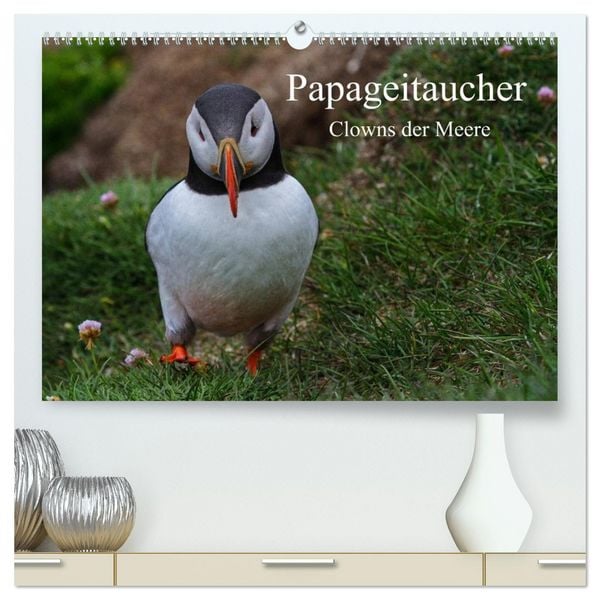 Produktbild: Papageitaucher Clowns der Meere (hochwertiger Premium Wandkalender 2026 DIN A2 quer), Kunstdruck in Hochglanz