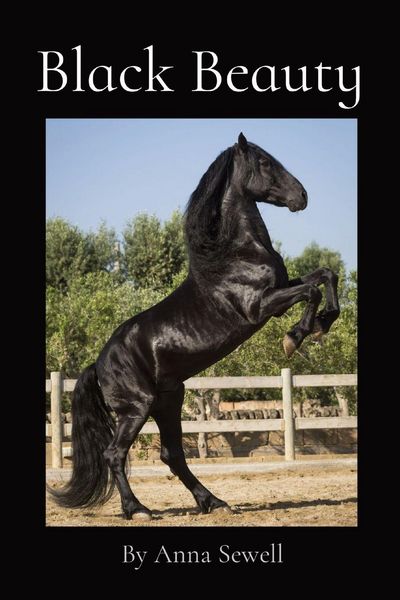 Produktbild: Black Beauty