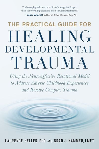 Produktbild: The Practical Guide for Healing Developmental Trauma