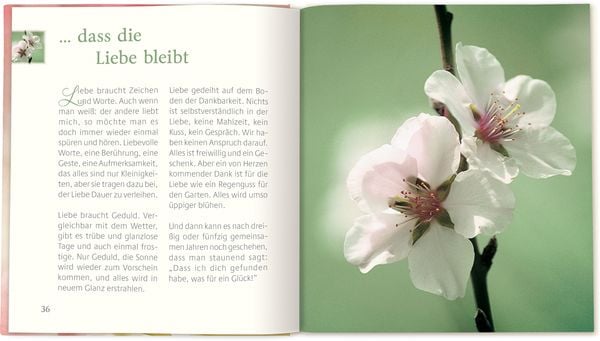 Produktbild: &hellip; dass die Liebe bleibt
