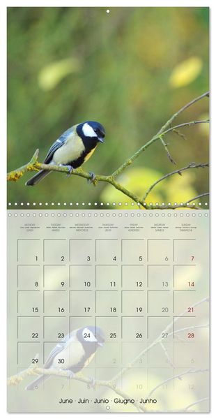 Produktbild: Le jardin des m&eacute;sanges (Calendrier mural carr&eacute; 2026 30x30 cm) Calendrier double avec une page pour vos prises de notes