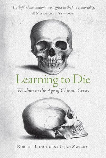 Produktbild: Learning to Die