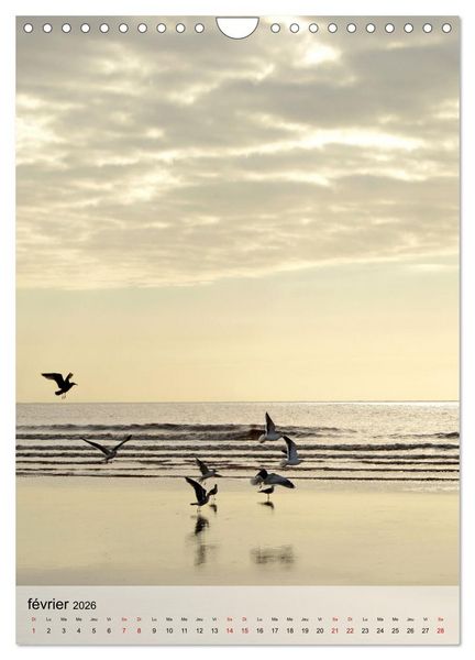 Produktbild: La mouette (Calendrier mural 2026 DIN A4 horizontal), CALVENDO calendrier mensuel