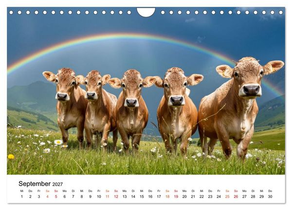 Produktbild: Bergk&uuml;he auf der Alm - Natur pur (Wandkalender 2027 DIN A4 quer), CALVENDO Monatskalender