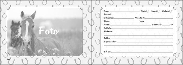 Mein Reiter-Tagebuch - Für alle Erlebnisse und Erinnerungen aus dem Reitstall