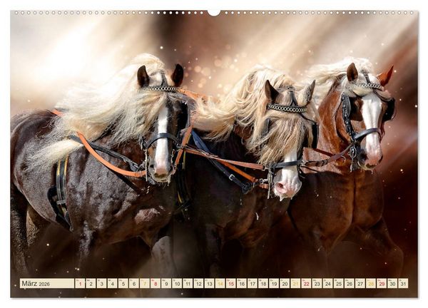 Produktbild: Eleganz und Sch&ouml;nheit - Pferde (Wandkalender 2026 DIN A2 quer), CALVENDO Monatskalender