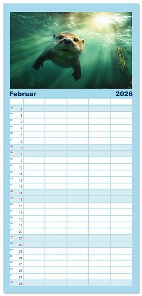 Produktbild: Familienplaner 2026 - W&auml;chter des Flusses - Ein Jahr mit Fischottern mit 5 Spalten (Wandkalender, 21 x 45 cm) CALVENDO