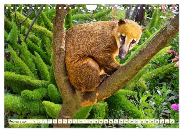 Produktbild: Small and large bears (Wall Calendar 2026 DIN A4 landscape), CALVENDO 12 Month Wall Calendar