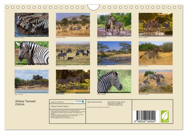 Produktbild: Afrikas Tierwelt: Zebras (Wandkalender 2026 DIN A4 quer), CALVENDO Monatskalender